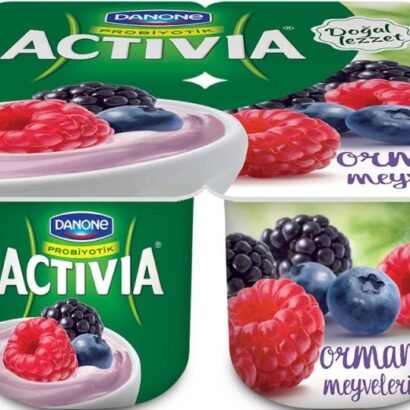 Activia Orman Meyveli Yoğurt