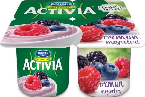 Activia Orman Meyveli Yoğurt