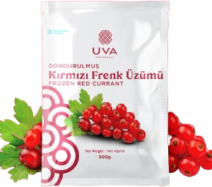 Uva Frenk Üzümü Kırmızı